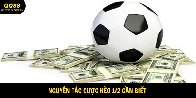 Kèo 1x2 QQ88 Và Những Điều Thú Vị Bạn Chưa Biết 2 Cập nhật nguyên tắc dành cho người chơi mới